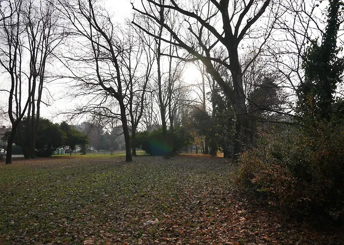 Albatros Μέστρε