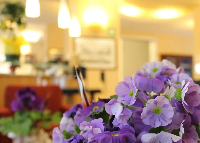 Albatros Hotel 4*