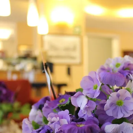Albatros Hotel 4*