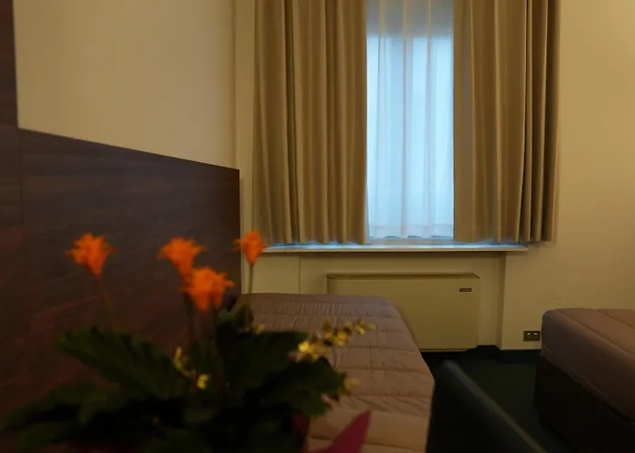 Albatros Местре